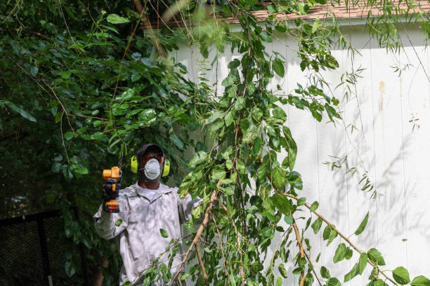 Best Weed Control  in Forsgate, NJ